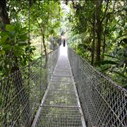 Picture Of A Steel Bridge Near The Arenal Volcano In Costa Rica