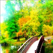 Picture Of Small Bridge Over River